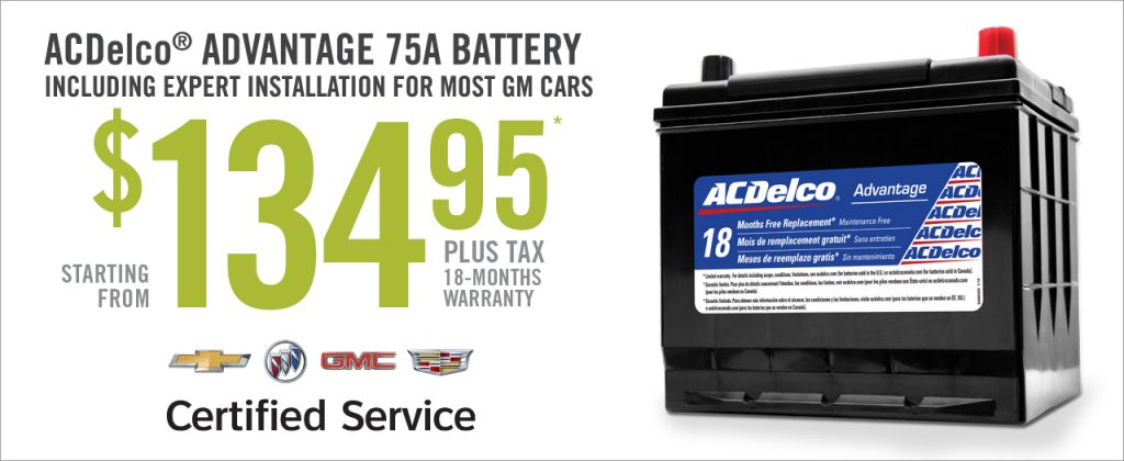 AC Delco Battery