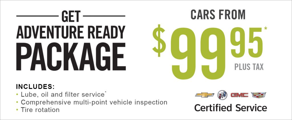 Lube Oil Filter Service Multi Point Vehicle Inspection
